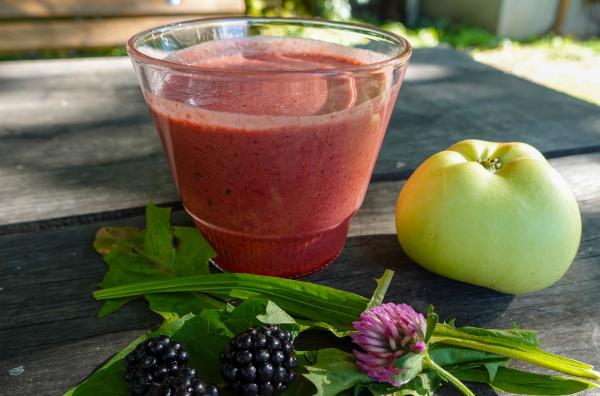 Bild 1 von 5: Smoothie mit Kräutern und Früchten aus dem Garten: Die Zutaten variieren nach saisonalem Angebot und Geschmack.