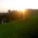 Landleben