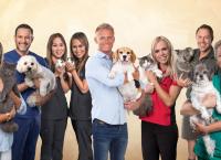 Australiens Tierrettung - Einsatz am Bondi Beach