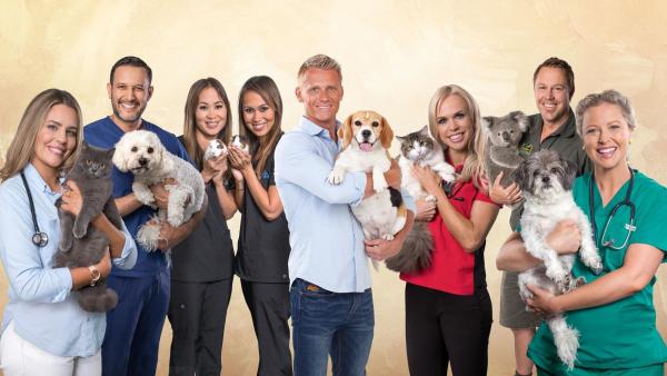 Bild 1 von 13: AUSTRALIENS TIERRETTUNG - EINSATZ AM BONDI BEACH - Staffel 11