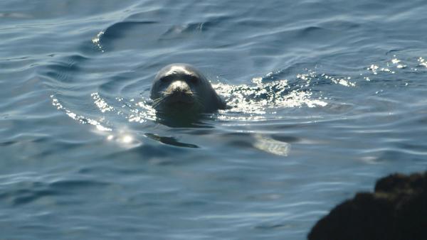 Bild 1 von 2: .