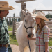 Heartland - Paradies für Pferde