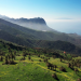 La Gomera - wild, grün, kanarisch
