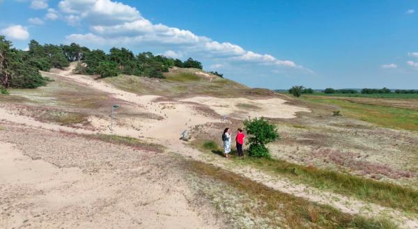 Bild 1 von 4: Die Binnendüne von Klein Schmölen, ein gewaltiger Dünenzug im Binnenland.