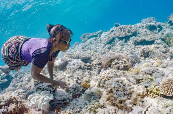 Bild 1 von 6: Die Wawata Topu, die ?tauchenden Frauen?, gehen täglich ohne Ausrüstung ins Meer und suchen zwischen den Riffen mit geschultem Blick nach Fischen und Oktopussen.