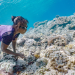Timor-Leste - Im Land des schlafenden Krokodils