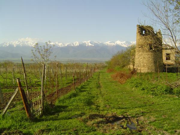 Bild 1 von 3: .