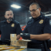 Airport Security USA