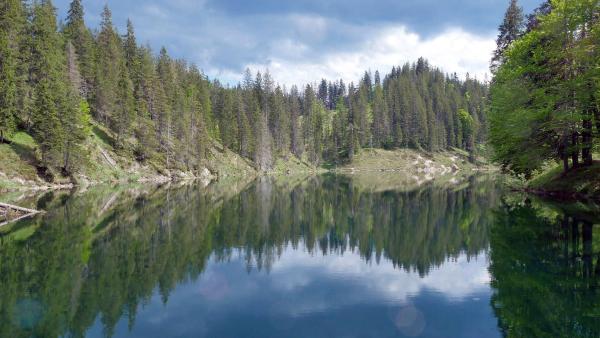 Bild 1 von 11: Im Bild: Ybbstal.