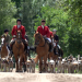 62 Nasen im Jagdfieber