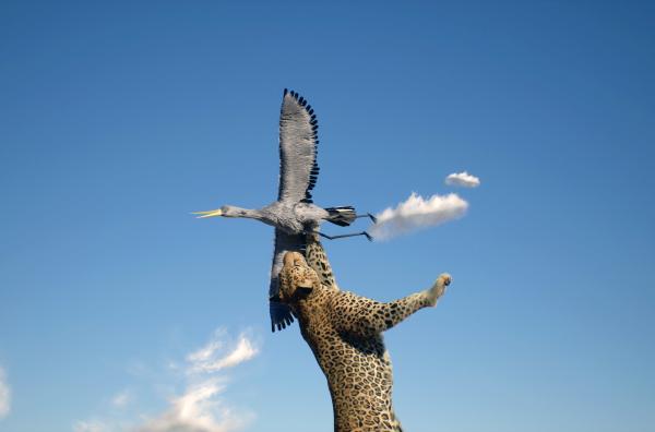 Bild 1 von 6: 3D-Animation eines Leoparden, der seine Beute angreift: Innovative Spezialeffekte veranschaulichen jede Bewegung - und zeigen, wie den Leoparden das Überleben in der feindlichen Umgebung gelingt.