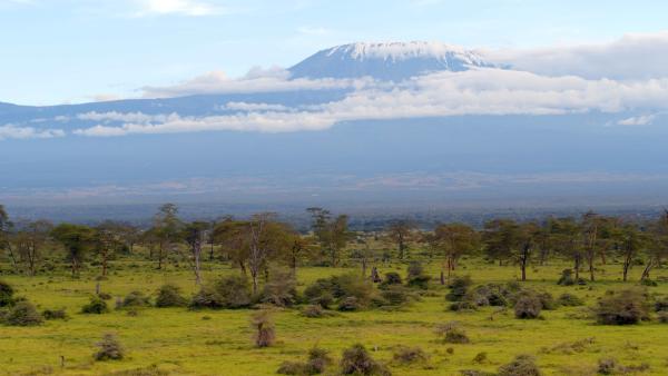 Bild 1 von 7: Der Kilimandscharo ist ein Bergmassiv im Nordosten Tansanias, dessen höchster Gipfel Kibo 5895 Meter hoch und damit der höchste Berg Afrikas ist.