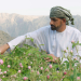 Abenteuer Oman