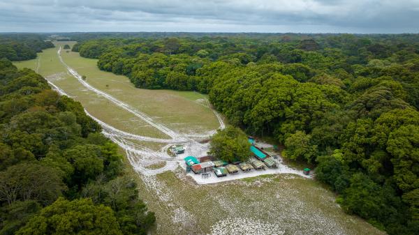 Bild 1 von 8: Im Forschungscamp Ozouga im Loango Nationalpark in  Gabun arbeiten  Forschende der Universität Osnabrück mit wildlebenden Schimpansen.