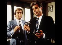 Das Erbe der Guldenburgs