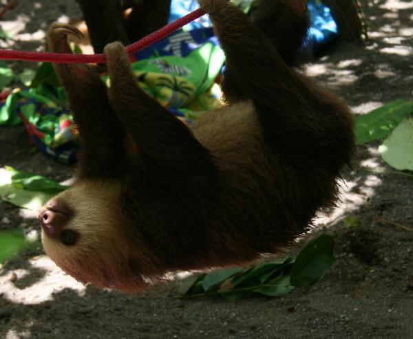 Bild 1 von 4: .