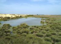Terra Mater - Doñana: Spaniens Garten Eden