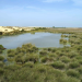 Terra Mater - Doñana: Spaniens Garten Eden