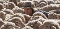 Seth MacFarlane in: A Million Ways to Die in the West