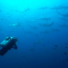 Expedition Galapagos - Rettet das Paradies