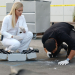 CSI: Miami