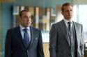 Gabriel Macht in: Suits