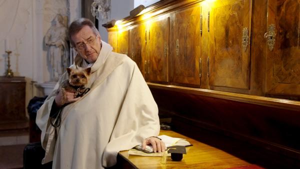 Bild 1 von 6: Geistlicher Stephansdom Prof. Dr. Michael Langer.