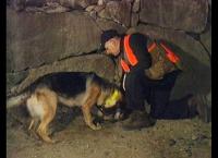 Medical Detectives - Geheimnisse der Gerichtsmedizin