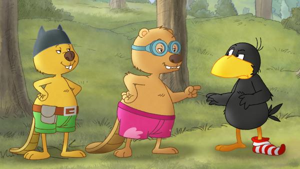 Bild 1 von 5: Arthur und Henry schlagen Socke eine Wette vor.