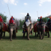 David Rocco s Dolce India