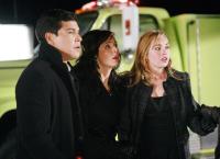 Heartland - Paradies für Pferde