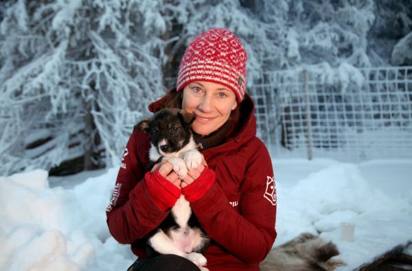 Bild 1 von 2: Die 37-jährige Norwegerin Marit Beate Kasin träumt seit ihrer Kindheit davon, Huskys zu züchten und an großen Hundeschlittenrennen teilzunehmen. Mit Mitte 20 begann sie, diesen Traum zu verwirklichen, und gründete ihre Hundezucht ?Winterdans?.