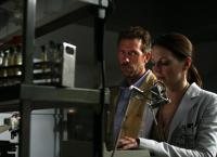 Dr. House
