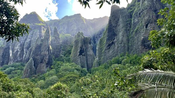 Bild 1 von 8: .