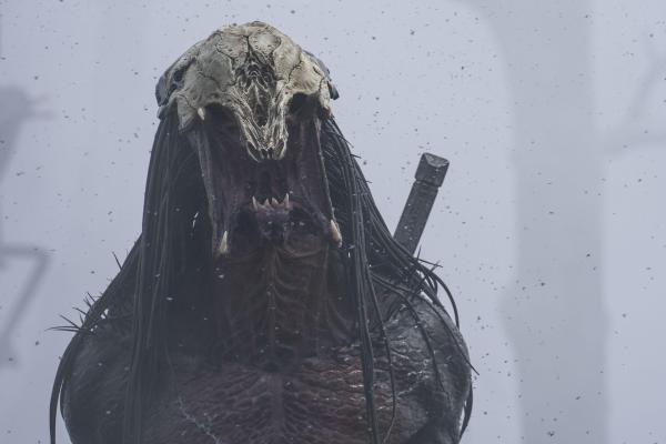 Bild 1 von 14: Predator (Dane DiLiegro)
