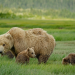 Faszination Erde - mit Dirk Steffens