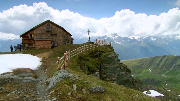 Bild 1 von 1: .