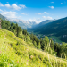 Bild 19