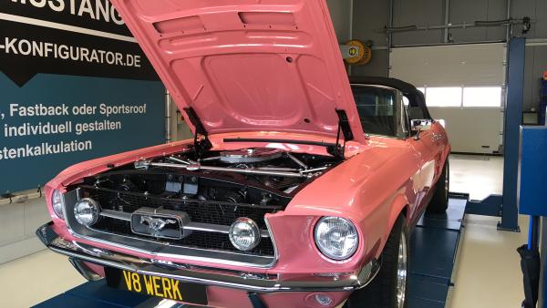 Bild 1 von 2: Sendungsbild