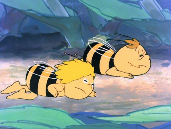 Bild 1 von 9: Biene Maja