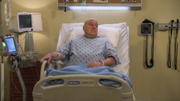 Bild 1 von 9: Art (Dean Norris)