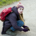 Tiere bis unters Dach