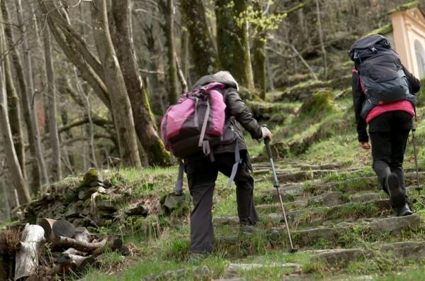 Bild 1 von 1: Zwei Stunden dauert der Aufstieg nach Monteviasco.