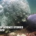 Top Science Stories 2020