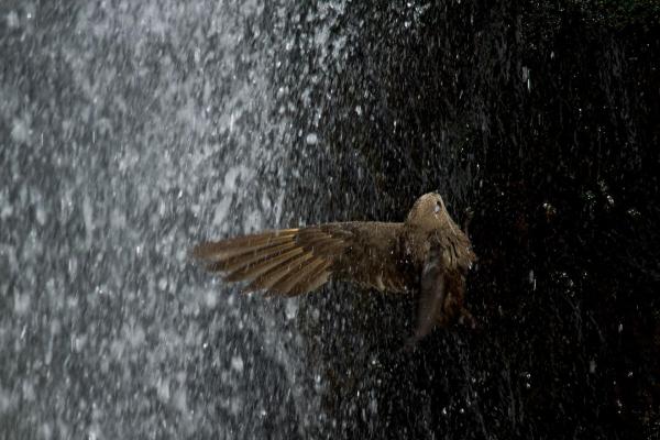 Bild 1 von 3: 