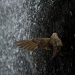 Brasilien - Welt des Wassers