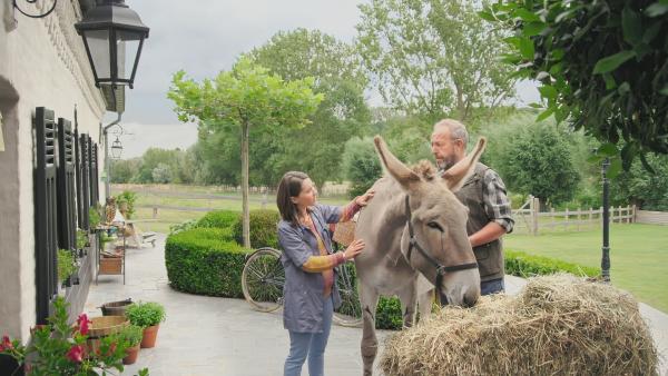 Bild 1 von 5: Hektor (Harry Piekema, r.) ist wieder einmal mit seiner Eselin Linda bei der Tierarztpraxis von Dr. Carina aufgetaucht. Mia (Margot Nuccetelli, l.) untersucht die Eselin.