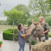 Mia and me - Abenteuer in Centopia