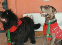 Ginos Italien - Essen wie bei Mamma