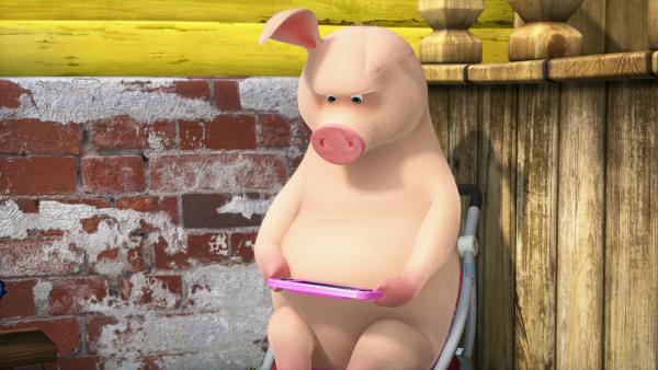 Bild 1 von 6: Das Schwein beim Konsolenspiel.